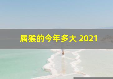 属猴的今年多大 2021